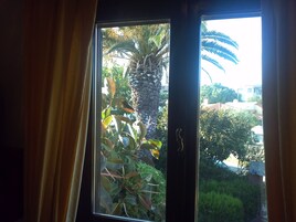 Vista desde la habitación