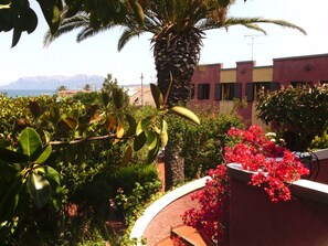 Vista desde la propiedad