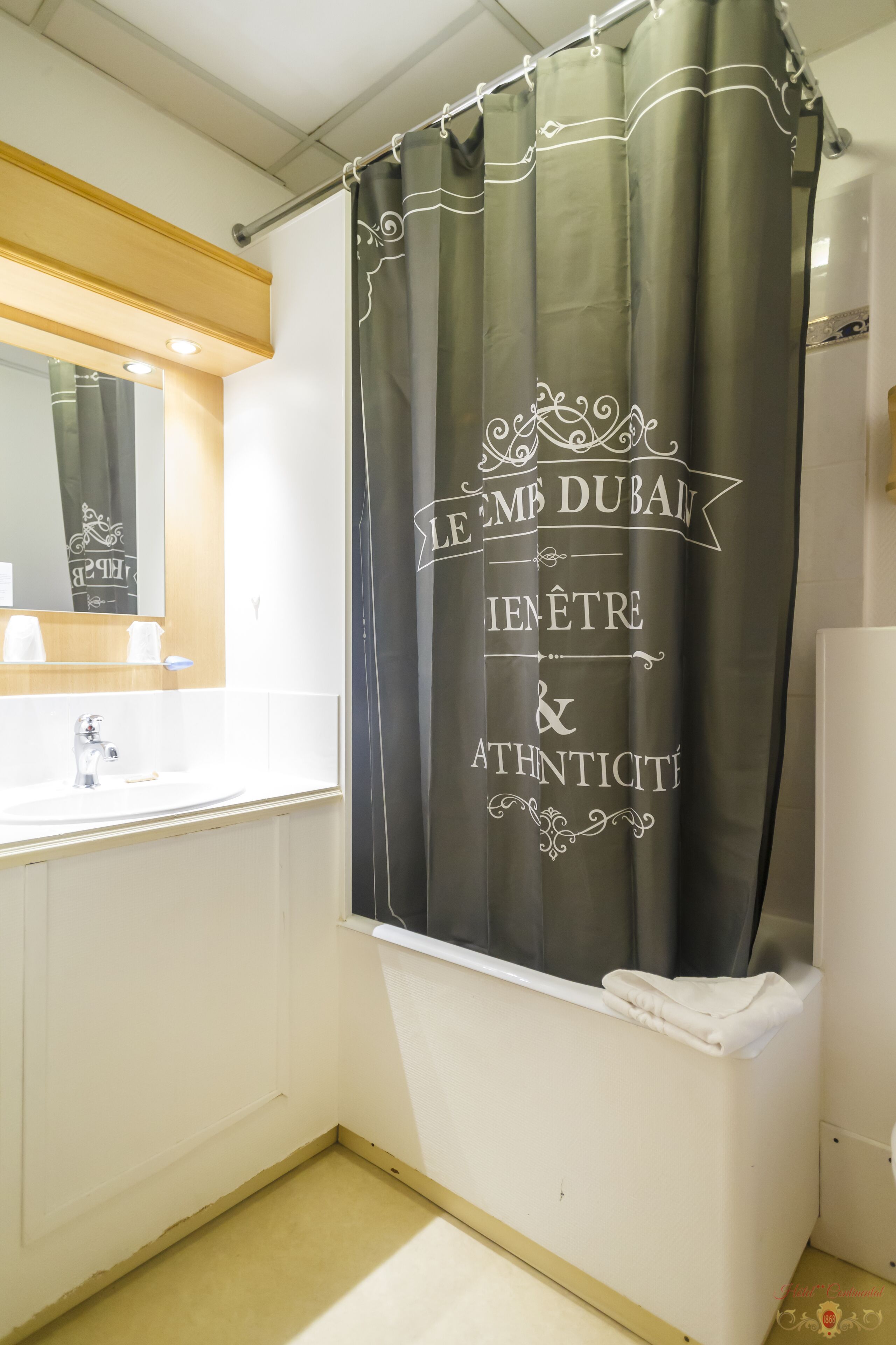 deluxe double room | bathroom shower