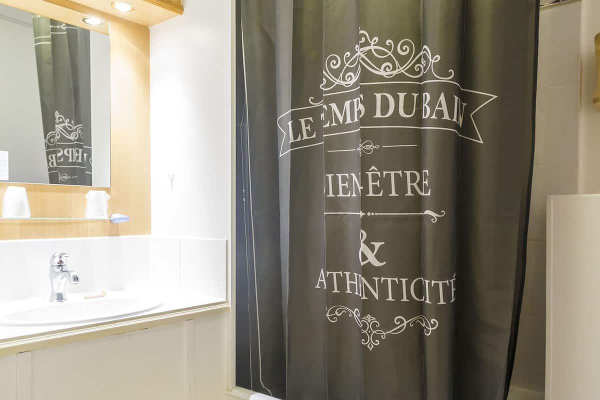 deluxe double room | bathroom shower