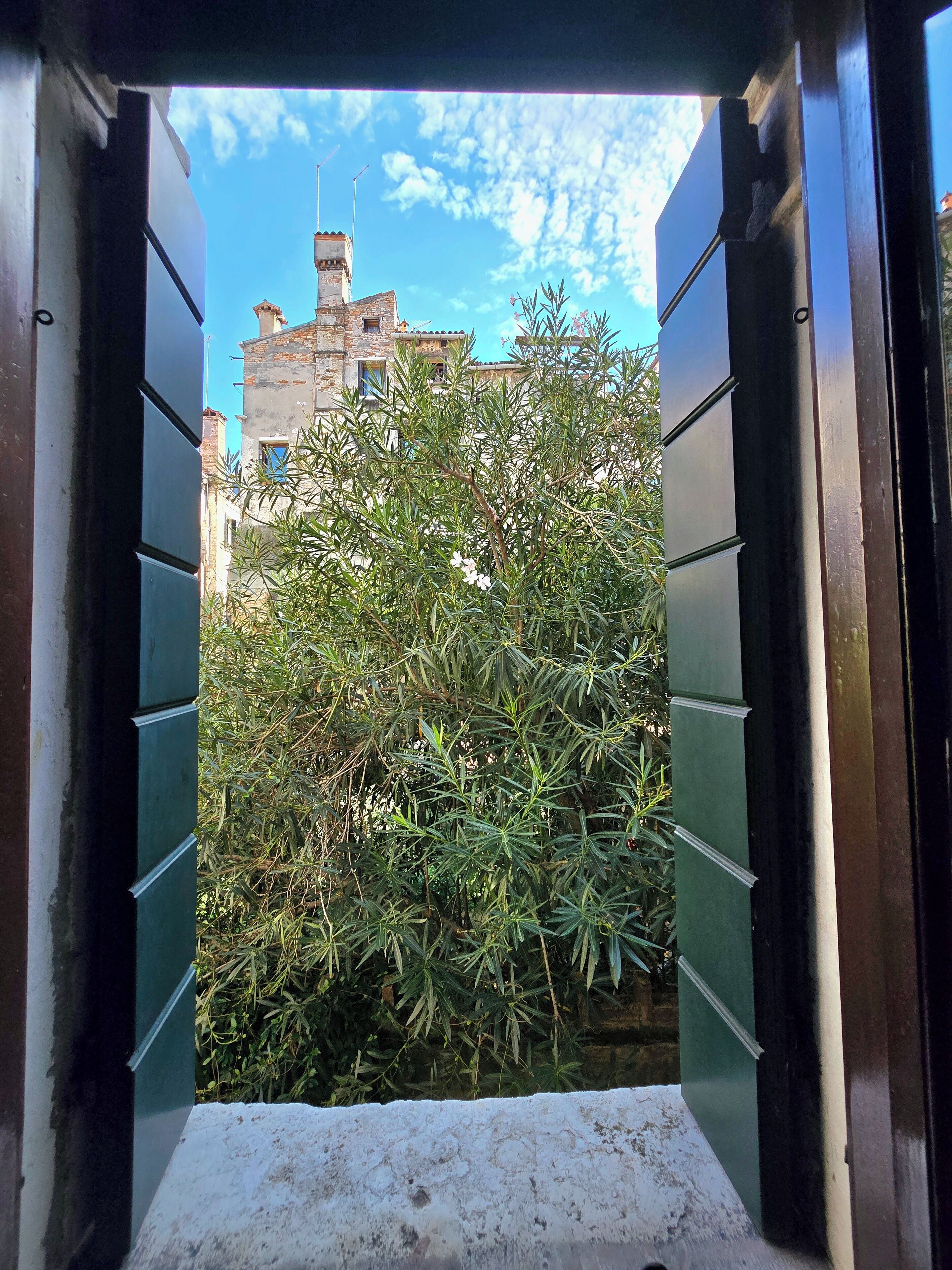 Premium bedding, free cribs/infant beds, free WiFi, bed sheets