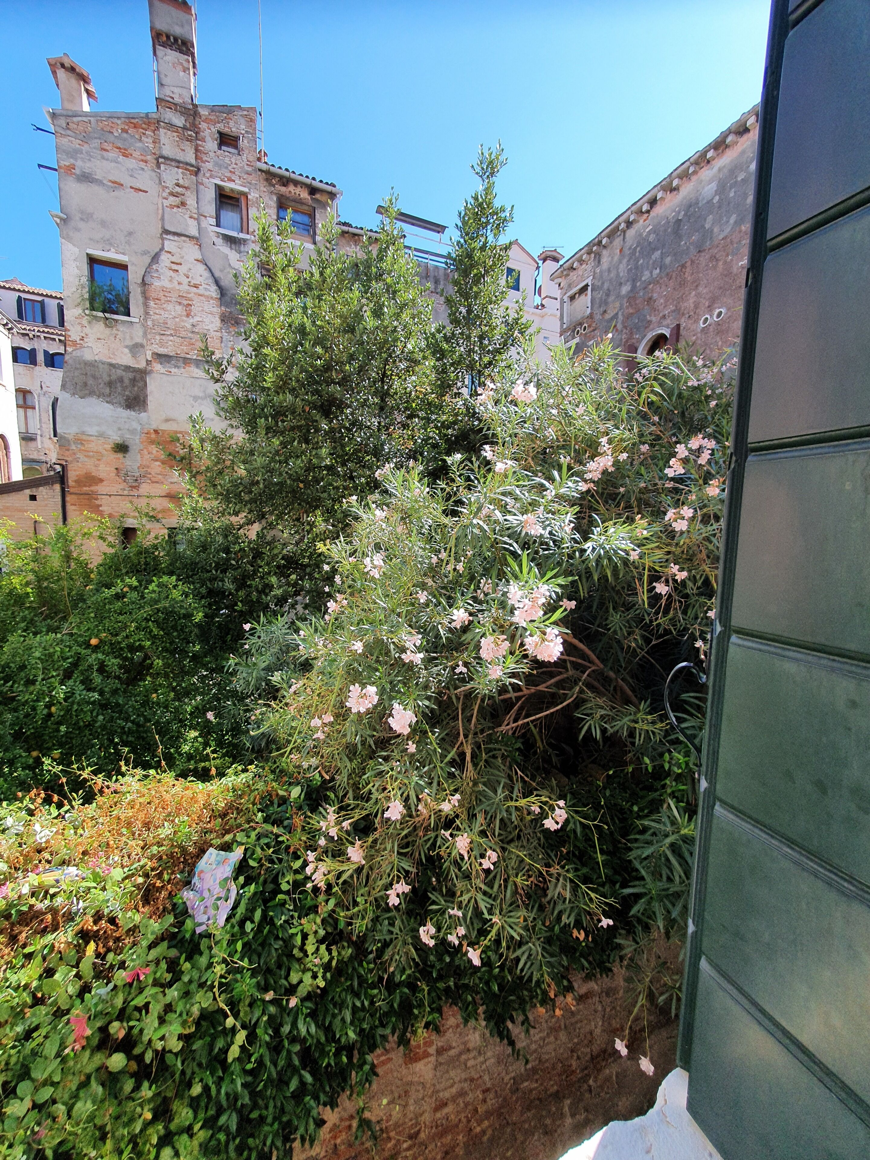 A garden with flowering plants and a building with a brick facade.