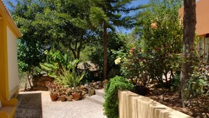 Un sendero pavimentado bordeado de macetas con plantas y una pared de piedra a un lado.