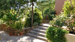 Un patio empedrado con escalones que conducen a un muro de piedra, rodeado de diversas plantas en macetas y árboles.
