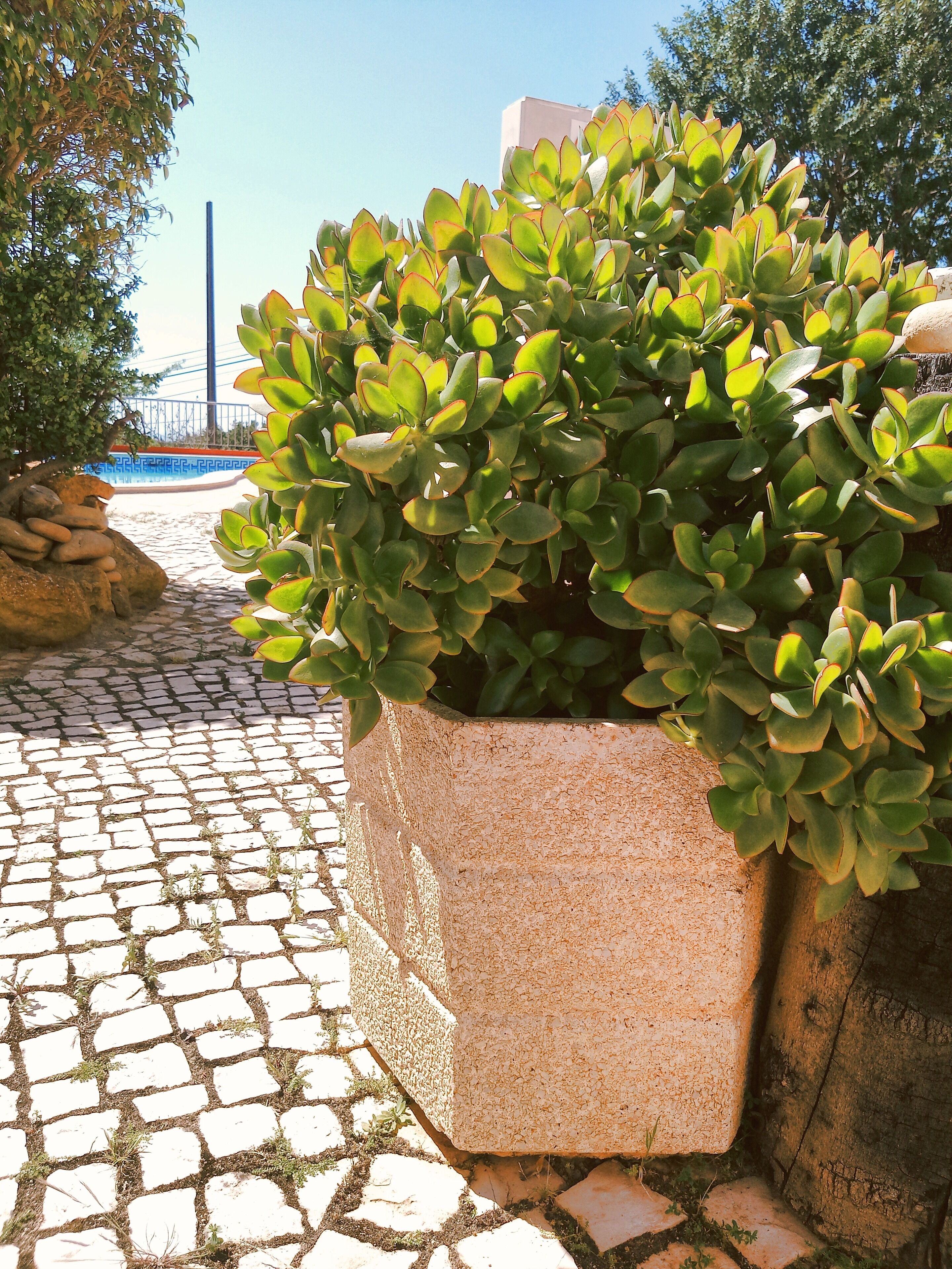 Photo - Quinta dos Caracois