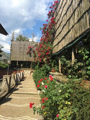 Property grounds - Bed and Lemons (Piano di Sorrento)