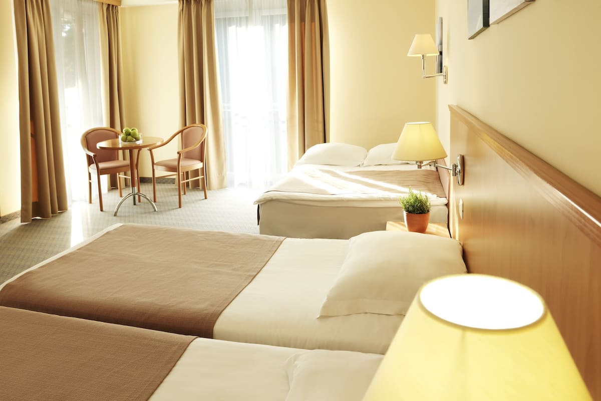 A hotel room with a bed, bedside table, lamp, chair, and a small table with a plant.