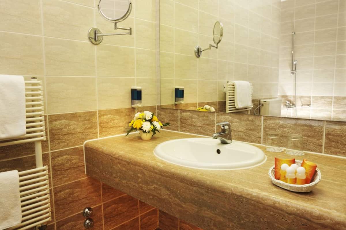 combined shower/bathtub, free toiletries, hair dryer, towels