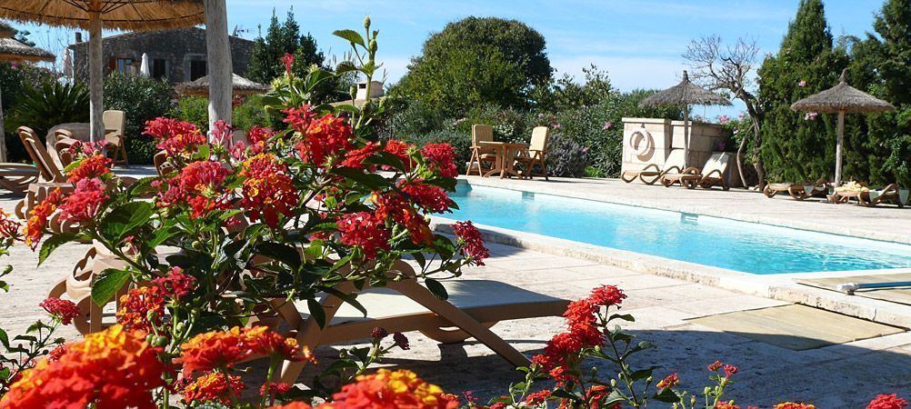 屋外プール、プール パラソル、サンラウンジャー