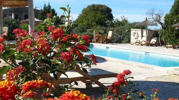 Outdoor pool, pool umbrellas, sun loungers