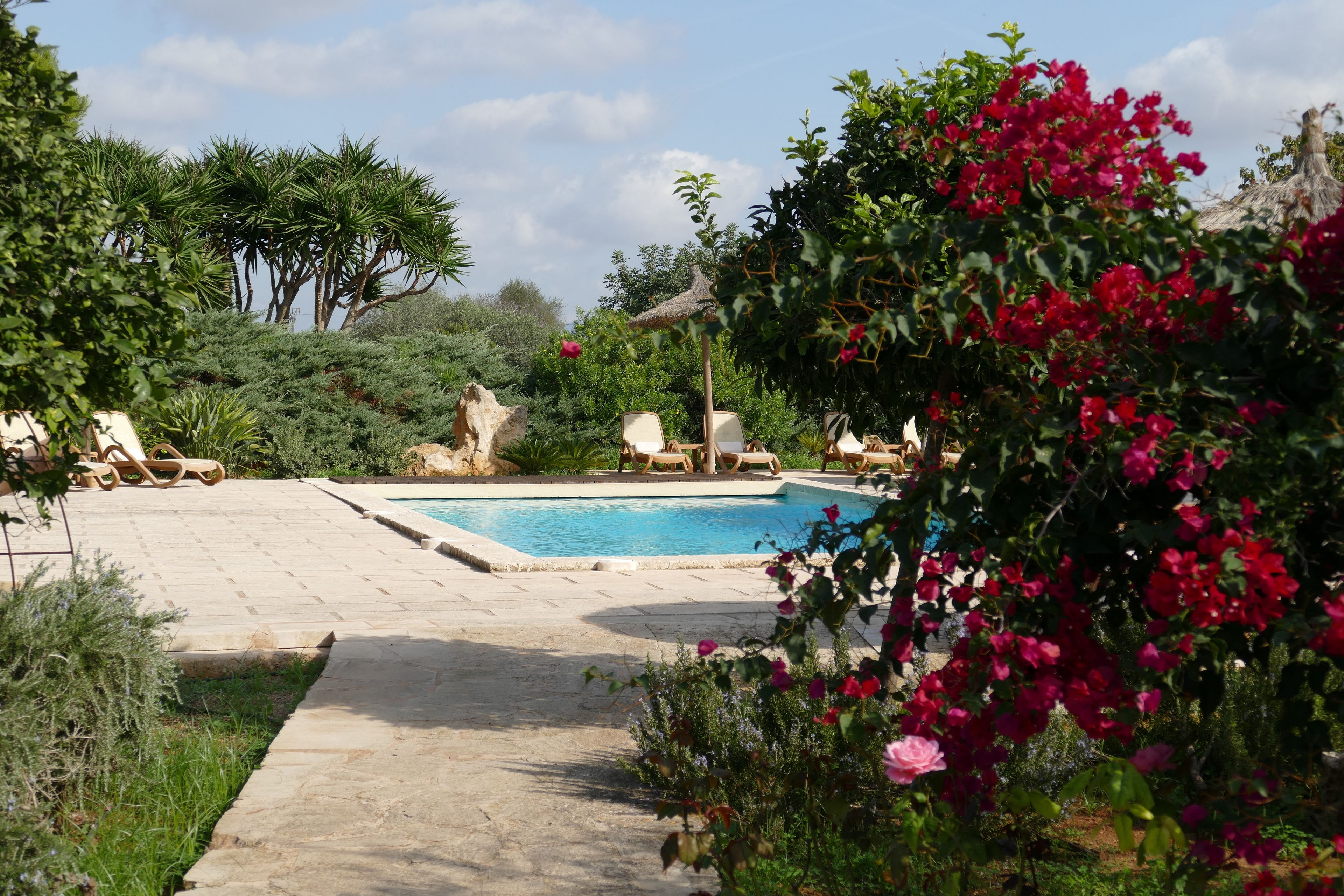 A pool area with lounge chairs, a stone pathway, and lush greenery.