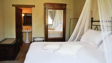 Minibar, desk, iron/ironing board, free WiFi