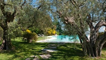 Un jardín con un sendero de piedra que lleva a una zona de piscina rodeada de árboles.