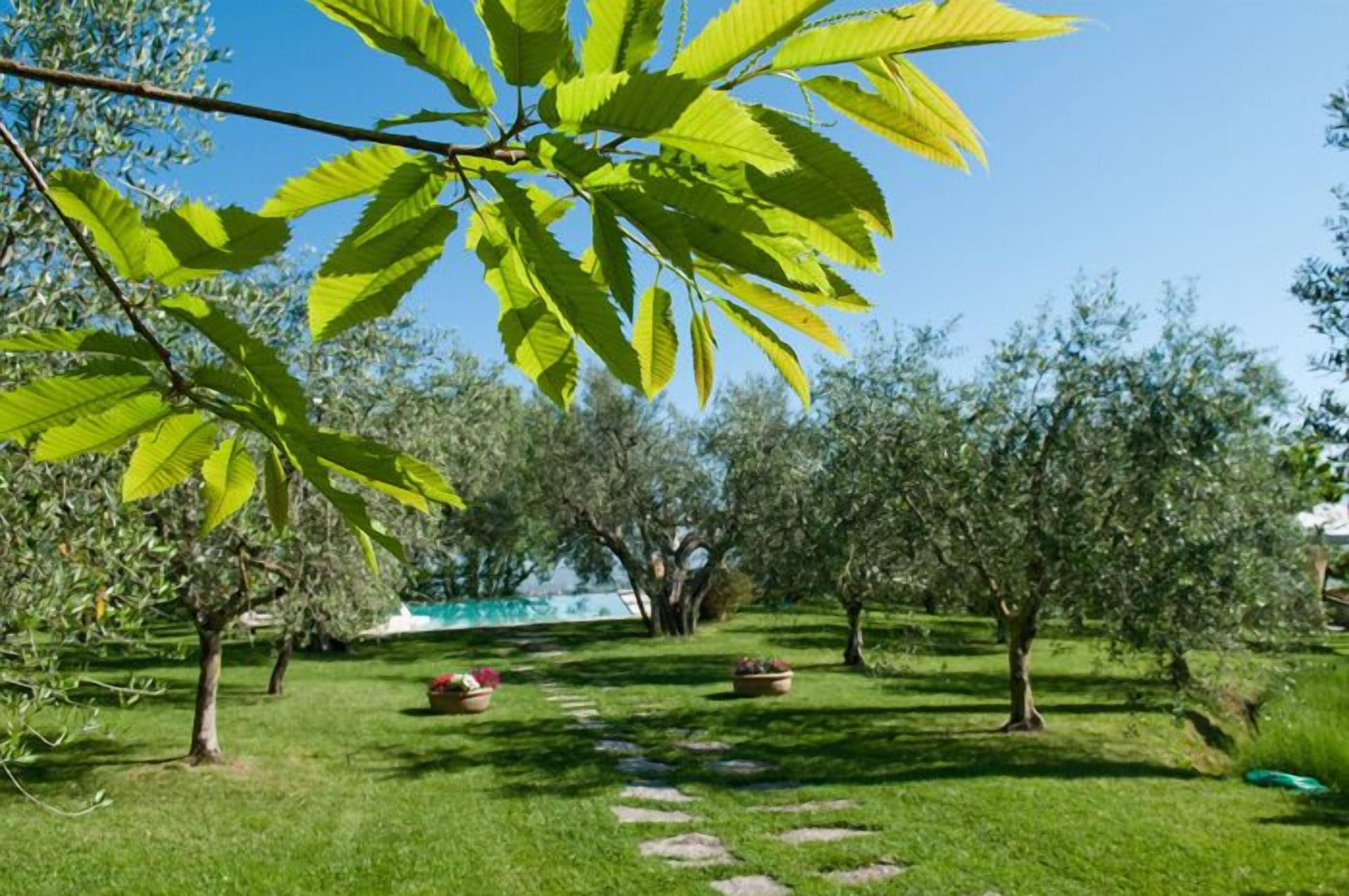 Ein Garten mit einem Weg, Bäumen und blauem Himmel.