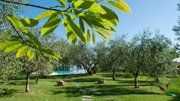 A garden with a pathway, trees, and a clear blue sky.