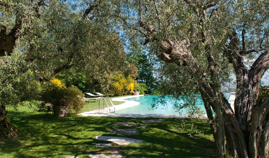 A pool surrounded by lush greenery and trees.