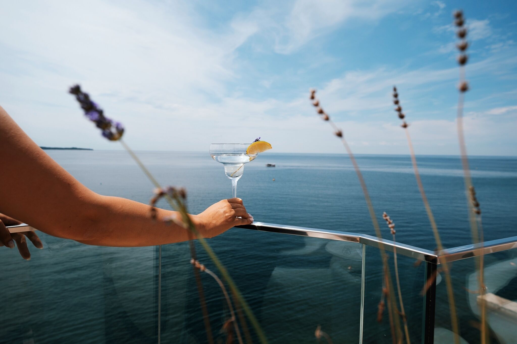 Une main tenant un verre à cocktail, décoré d’une tranche de citron, avec en arrière-plan un plan d’eau, une terre lointaine et de hautes herbes.