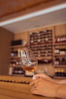 Primer plano de una mano sosteniendo una copa de vino, con un fondo borroso de estantes llenos de botellas.