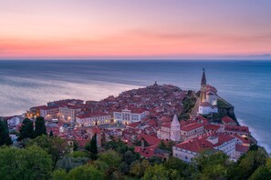 A coastal town with historic buildings and a prominent church.
