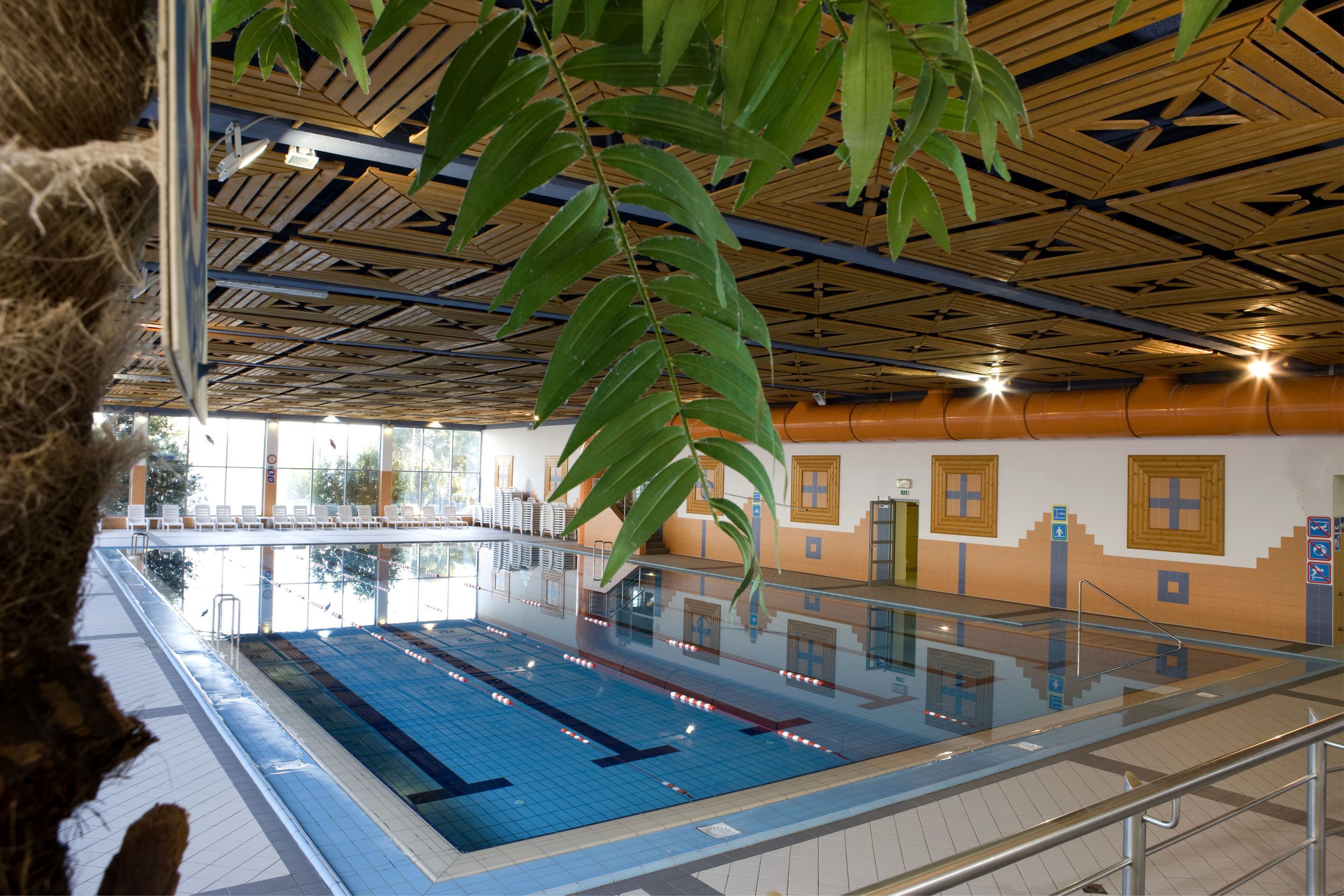 An indoor swimming pool with clear lanes, a bamboo plant overhead, and a wooden ceiling with geometric patterns.
