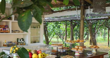 Relais Correale Rooms & Garden