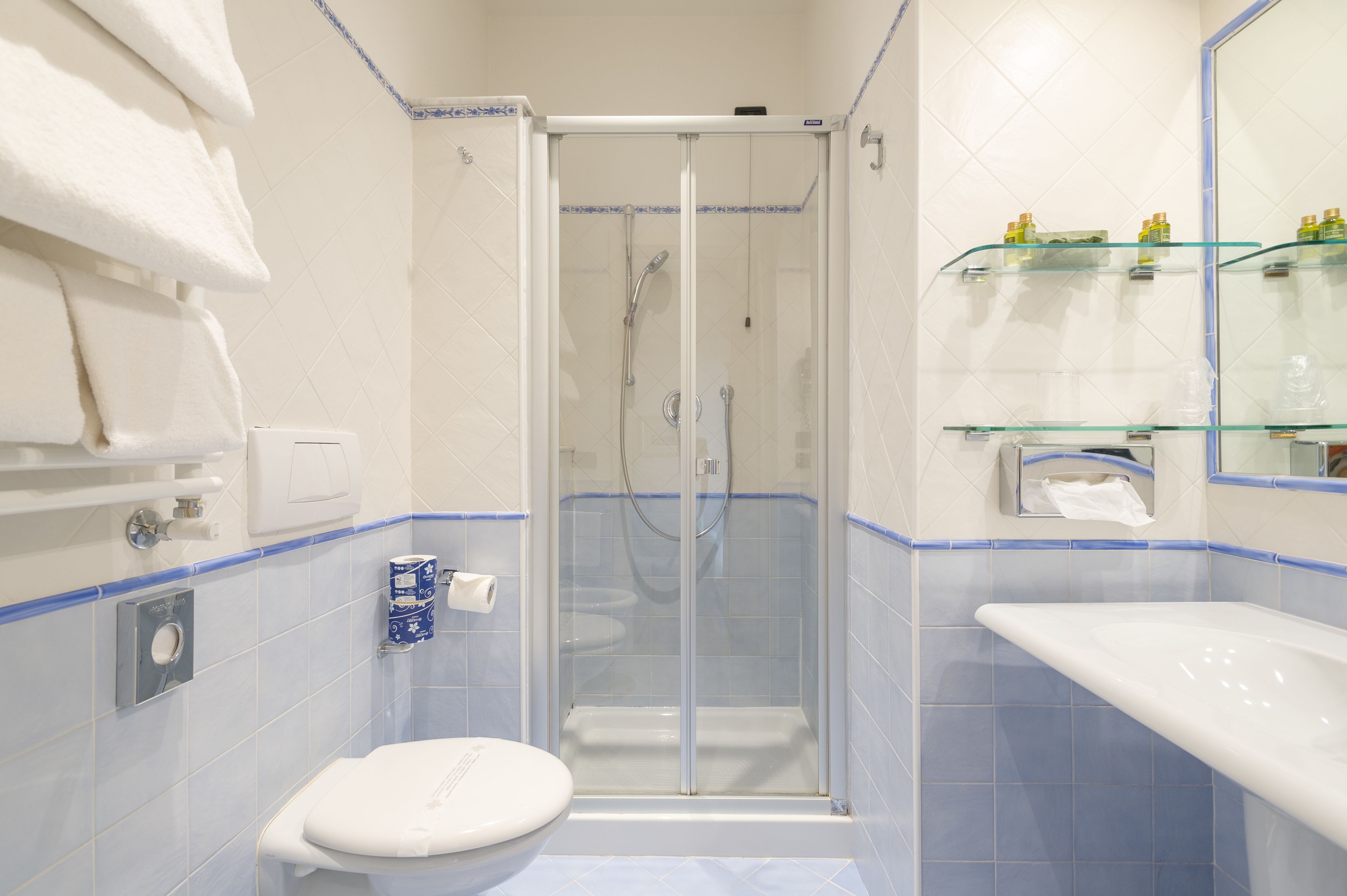 superior double room | bathroom | shower, free toiletries, hair dryer, towels