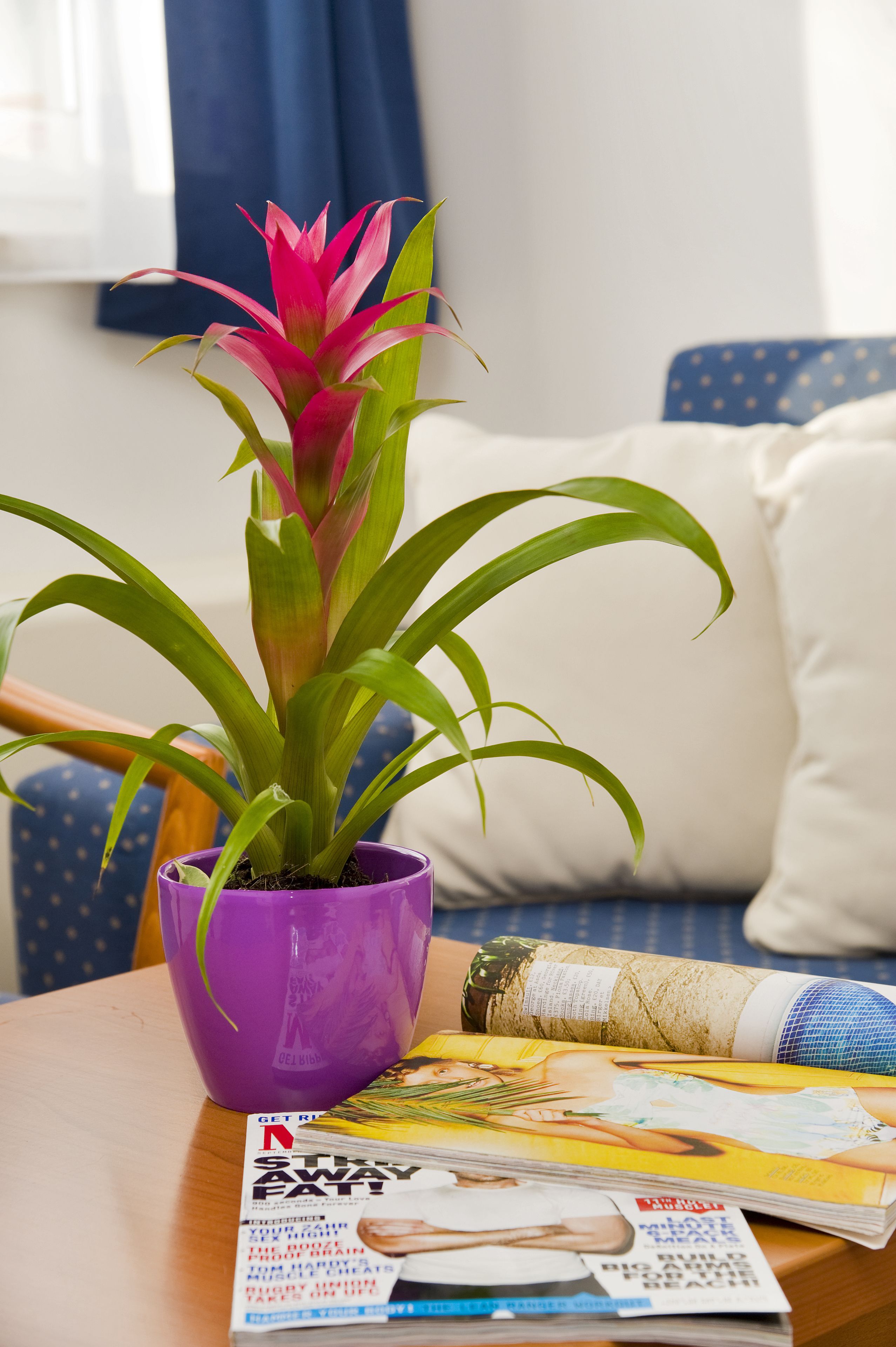 single room, park view | blackout curtains, free wifi, bed sheets