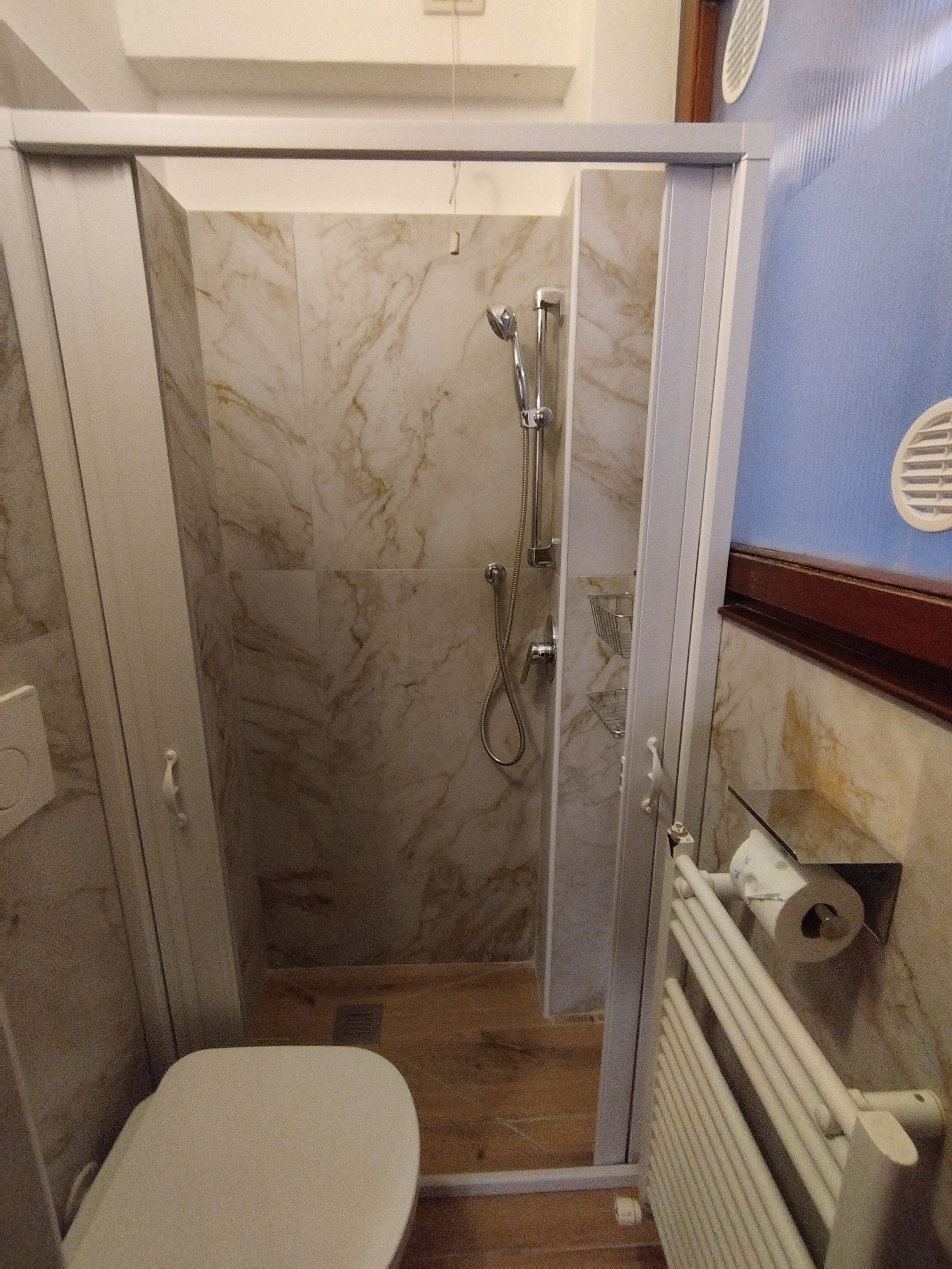 A bathroom with a shower enclosure, a toilet, and a radiator.