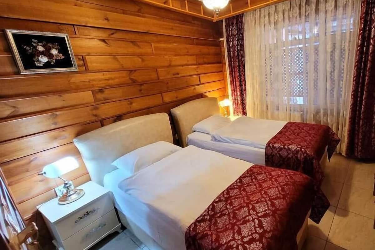 Economy-Zweibettzimmer | Minibar, Zimmersafe, Schreibtisch, kostenloses WLAN