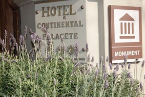 Disseny de l'edifici