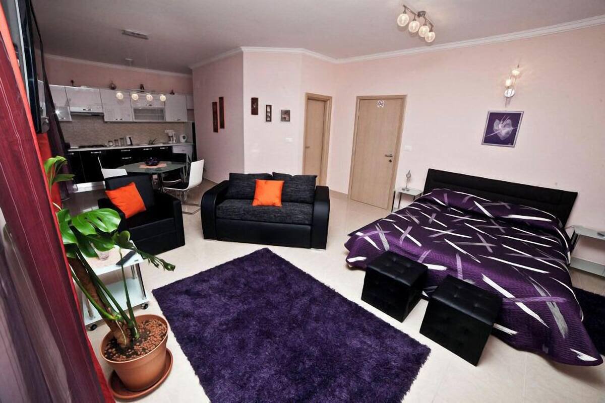 A compact living space with a kitchenette, a sofa, a bed, and a potted plant.
