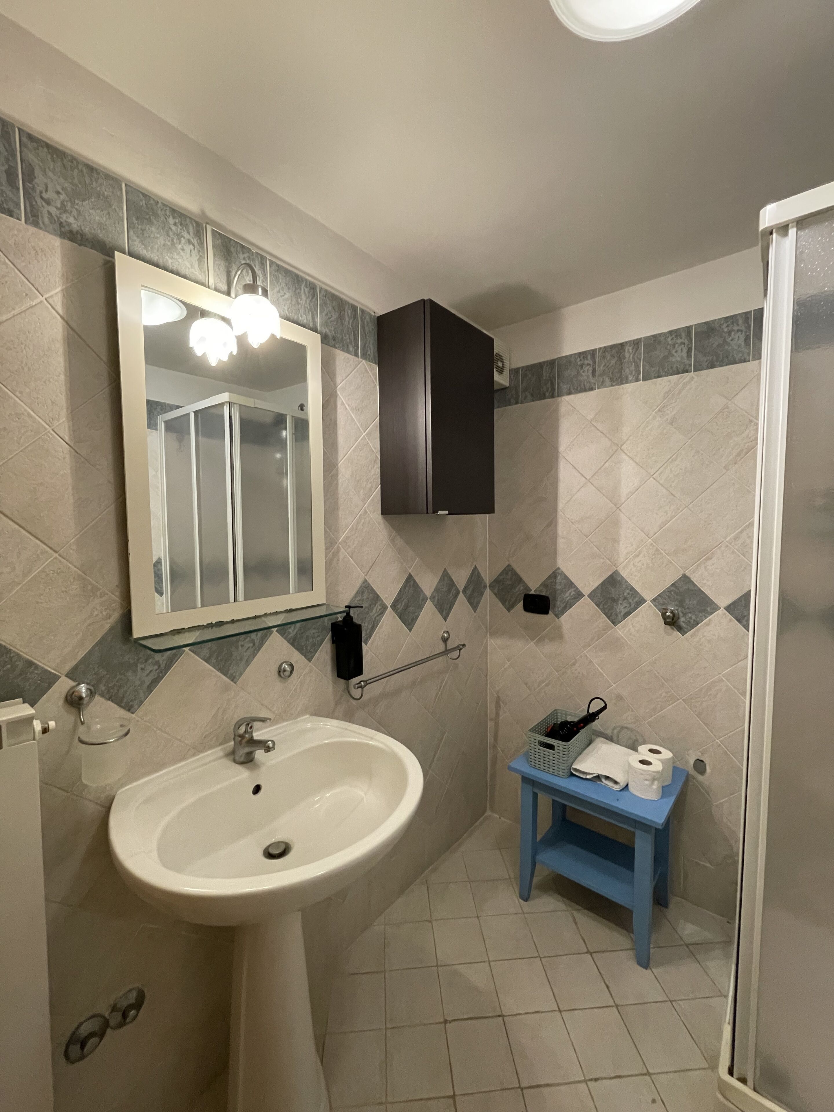 Un baño con lavabo, espejo, armario y ducha.