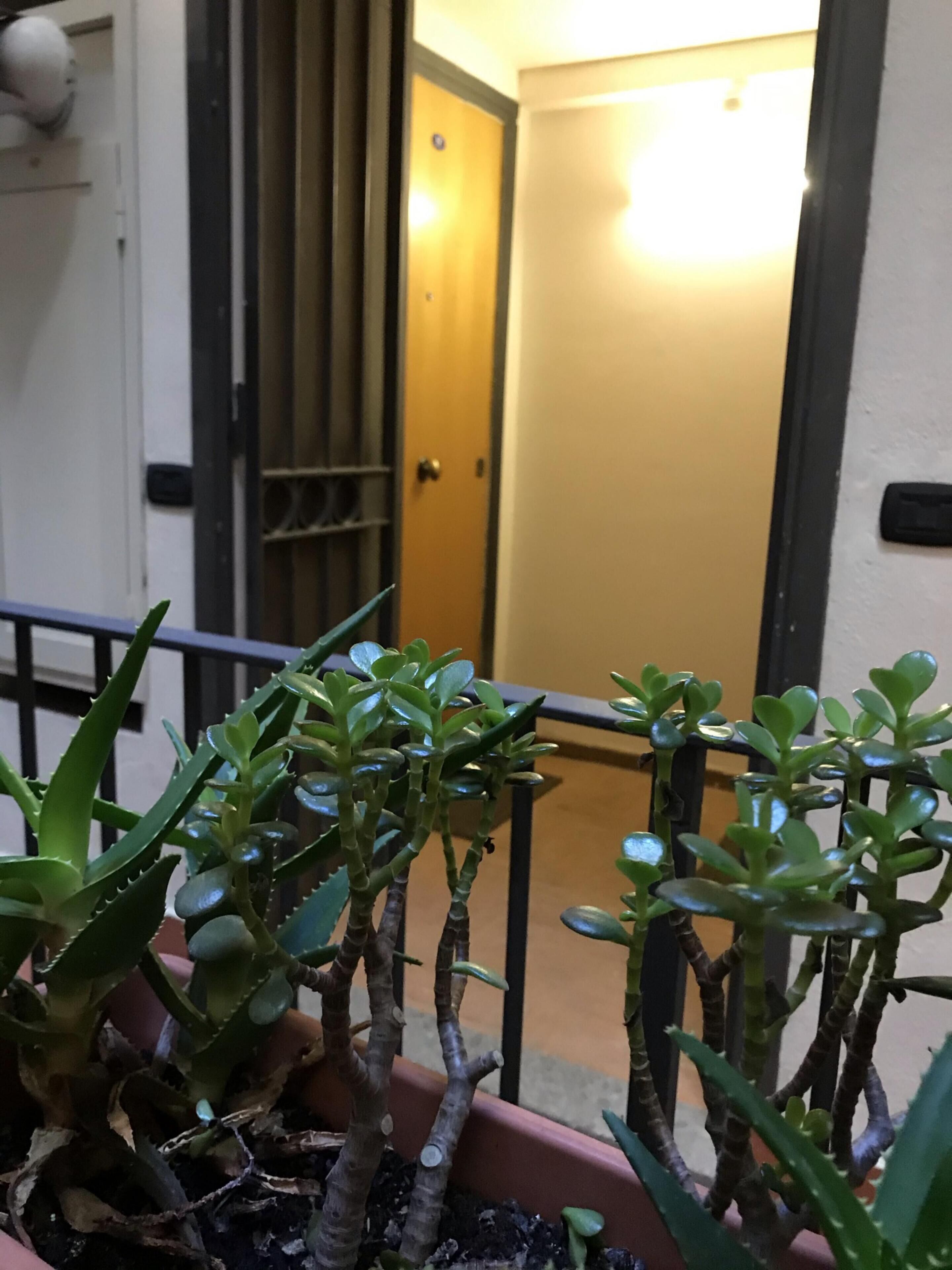 Innvendig detalj