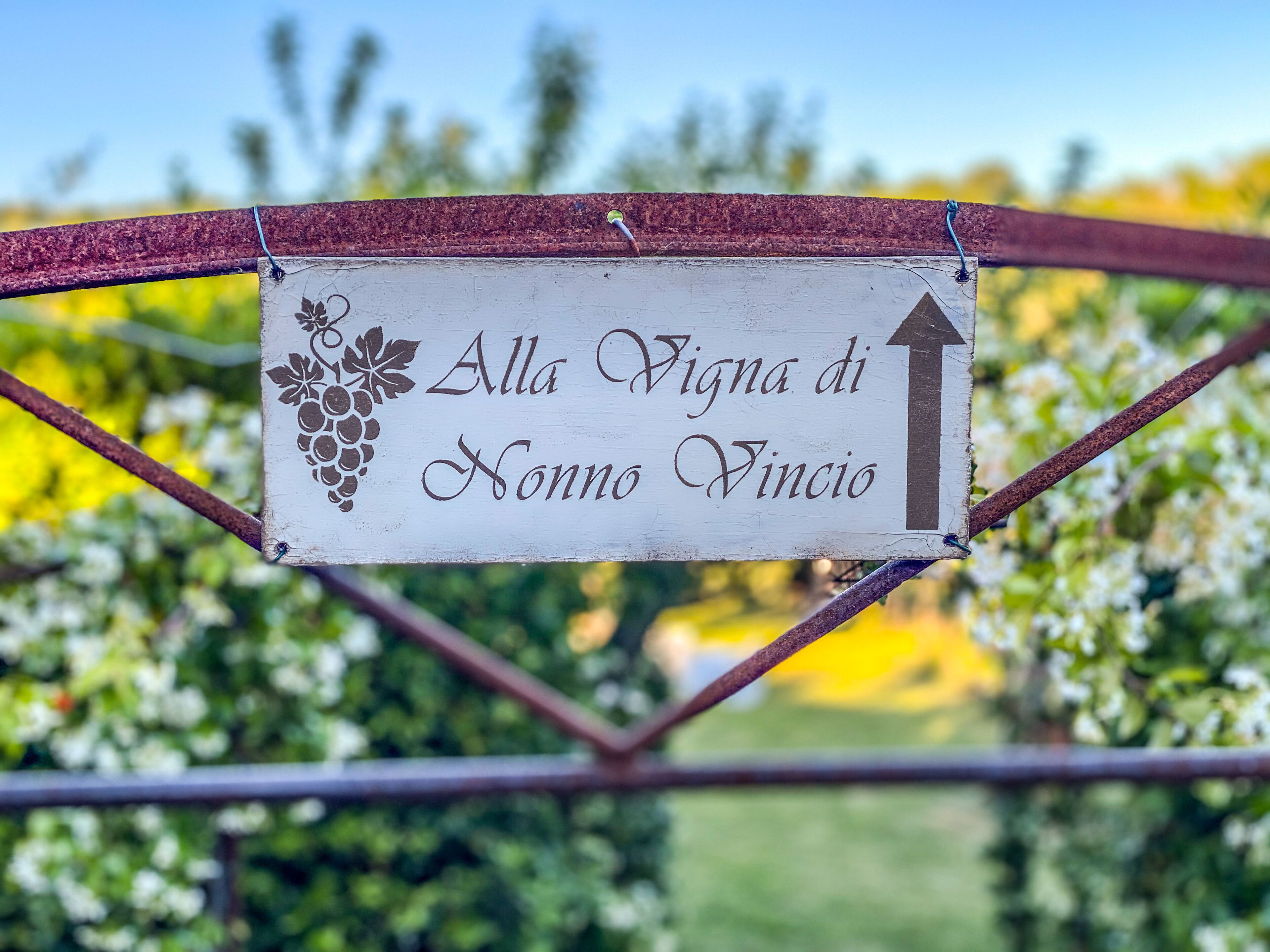 A sign with a grapevine graphic and text indicating 'Alla Vigna di Nonno Vincio' with an upward arrow.