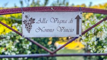 A sign with a grapevine graphic and text indicating 'Alla Vigna di Nonno Vincio' with an upward arrow.