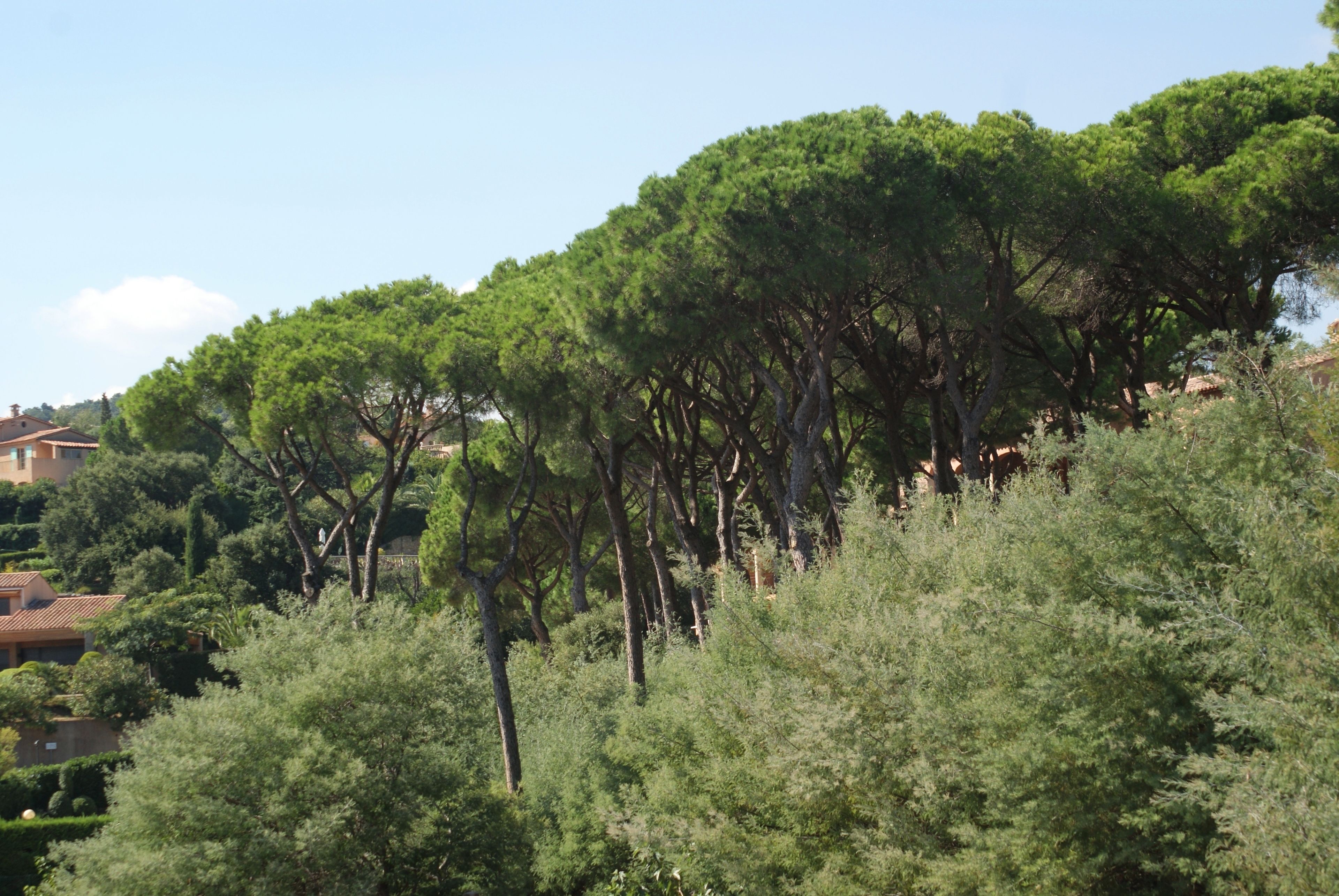 club hill side | view from room