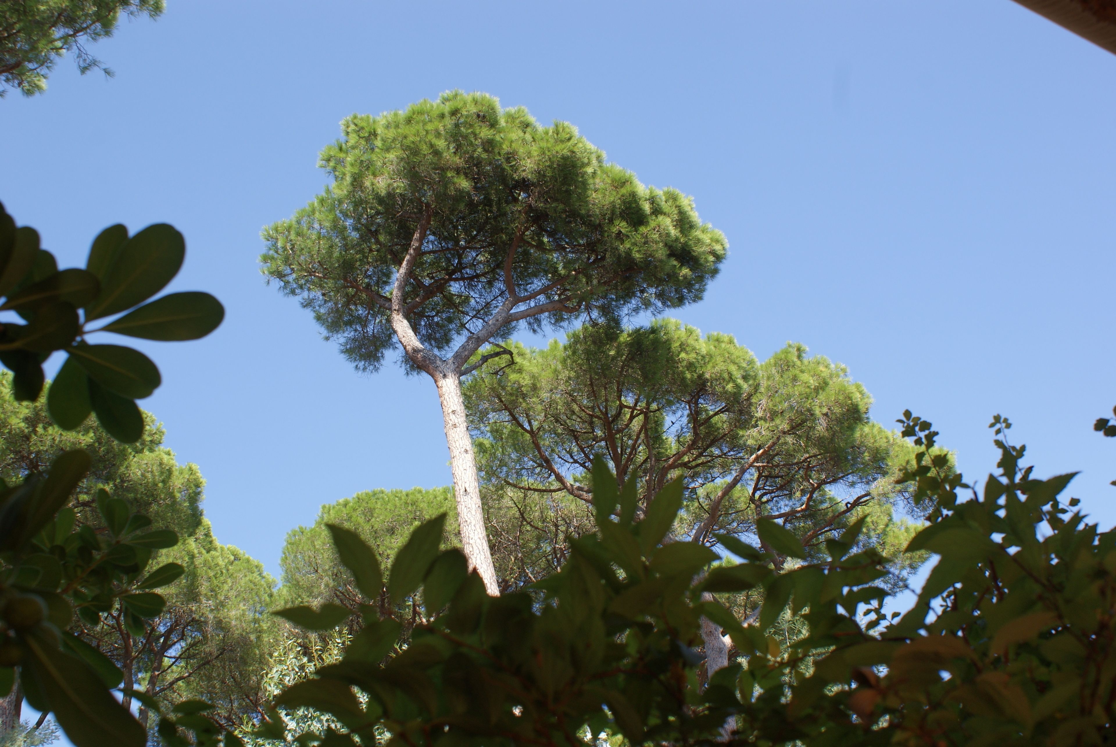 standard hill side | view from room