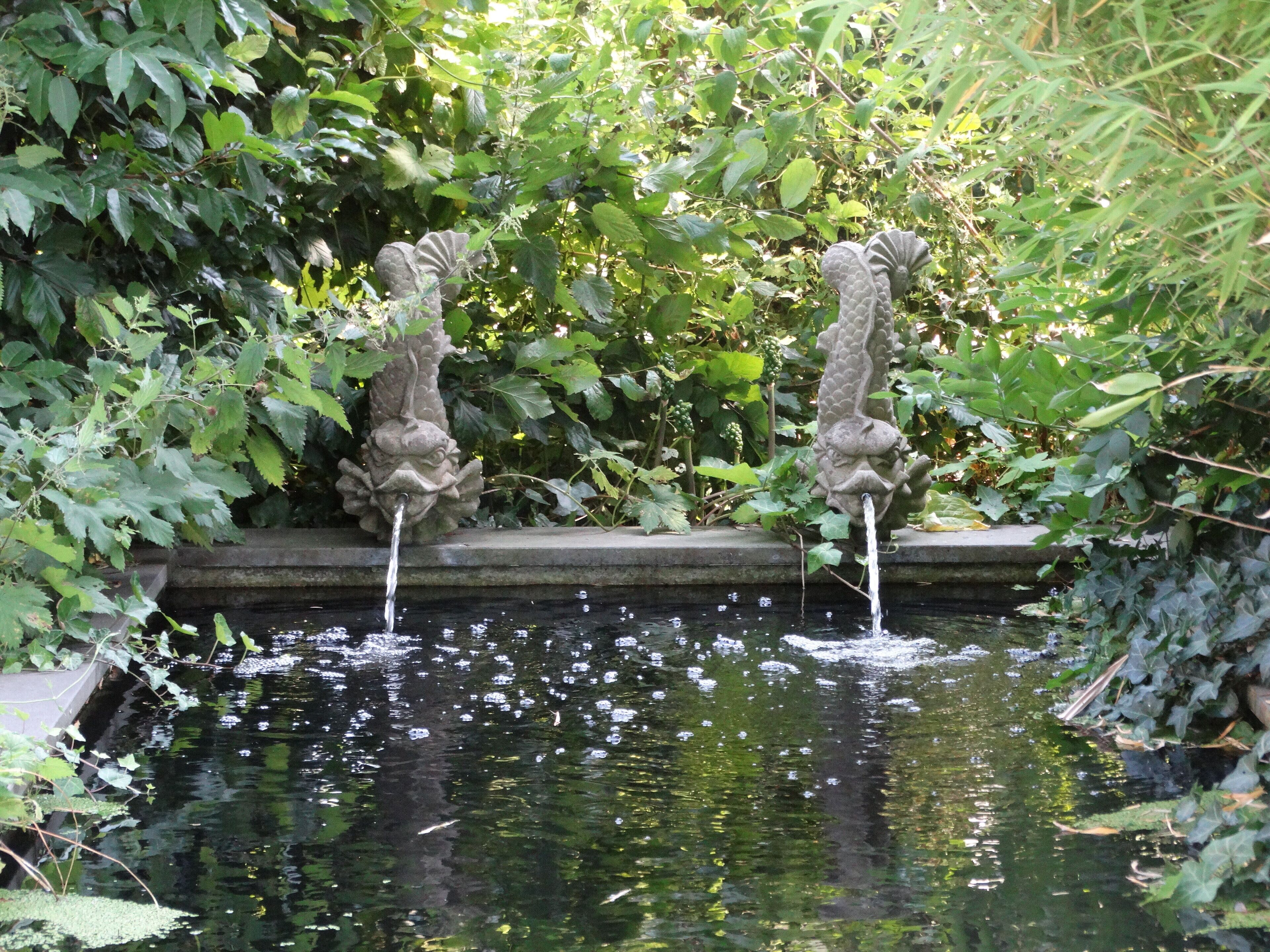fountain