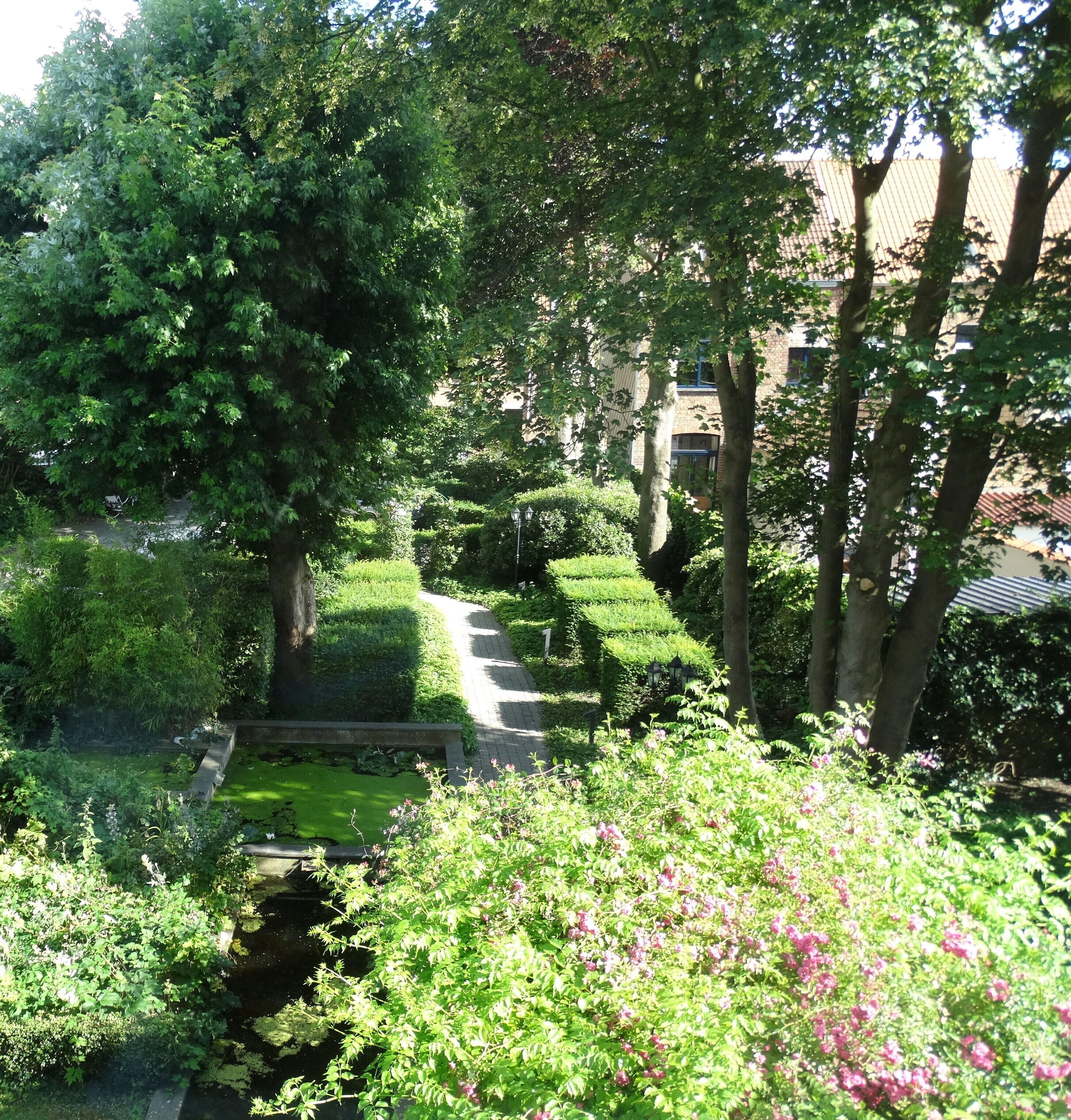 single room | garden view