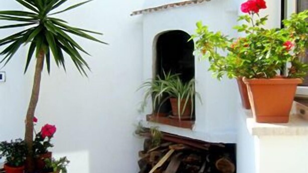 A small courtyard with a palm tree, potted plants, and a stack of firewood. - Casa Vacanza La Scisa (Alessano)