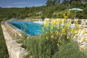 Piscine extérieure, parasols de plage, chaises longues