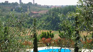 A pool surrounded by olive trees and a view of a town with buildings and a tower in the distance. - Il Piastrino (Vinci)