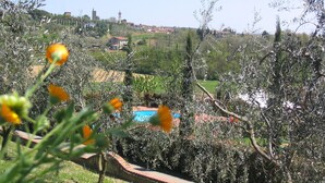 A rural landscape with olive trees, a distant village, and a blue swimming pool. - Il Piastrino (Vinci)