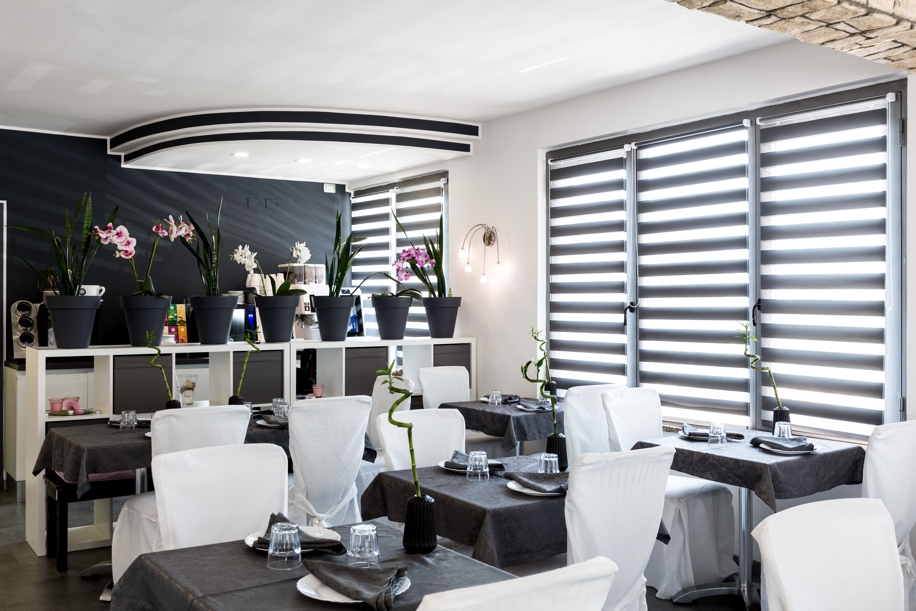 Foto - Hotel Canarino
