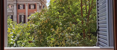 Vista des de l'habitació