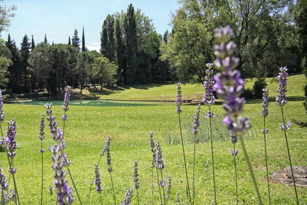 A grassy field with tall purple flowers and trees in the background. - West Garda Hotel (Padenghe sul Garda)