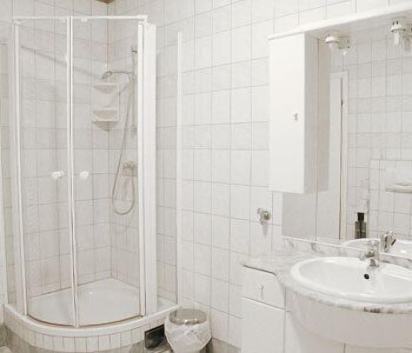 Een douche, gratis toiletartikelen, een haardroger, handdoeken