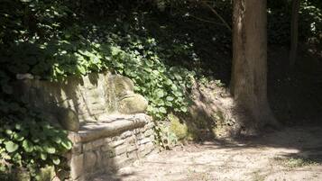 Un banco de piedra con hiedra trepando, situado en una zona sombreada cerca de un árbol.