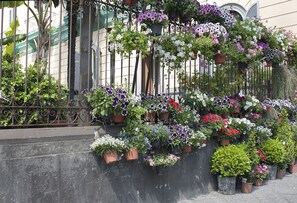 Jardines del alojamiento