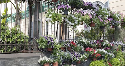 Areamare Bed & Breakfast